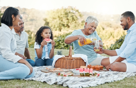 family enjoying a picnic at the park